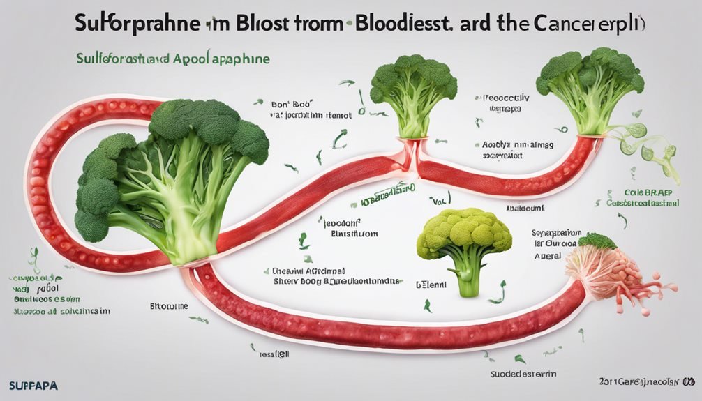 plant compound absorption study