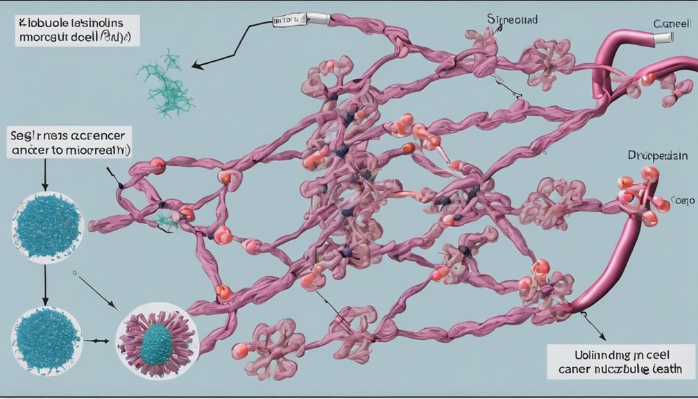 precision medicine for cancer